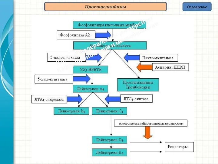 Оглавление Простагландины Южный федеральный университет Кафедра биохимии и микробиологии