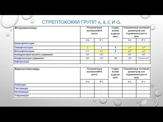 СТРЕПТОКОККИ ГРУПП A, B, C И G.