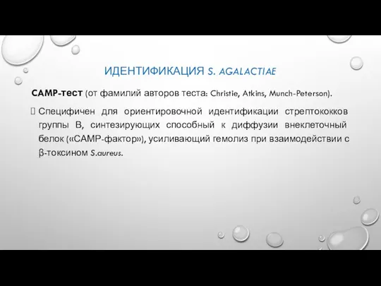 ИДЕНТИФИКАЦИЯ S. AGALACTIAE CAMP-тест (от фамилий авторов теста: Christie, Atkins, Munch-Peterson). Специфичен