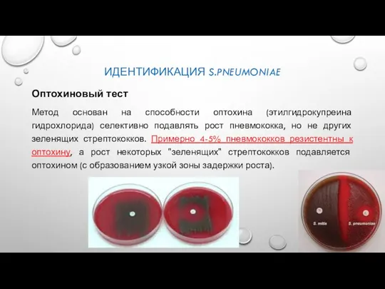 ИДЕНТИФИКАЦИЯ S.PNEUMONIAE Оптохиновый тест Метод основан на способности оптохина (этилгидрокупреина гидрохлорида) селективно