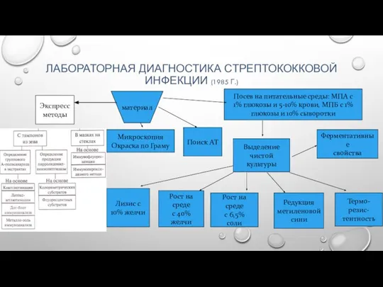 ЛАБОРАТОРНАЯ ДИАГНОСТИКА СТРЕПТОКОККОВОЙ ИНФЕКЦИИ (1985 Г.) Экспресс методы