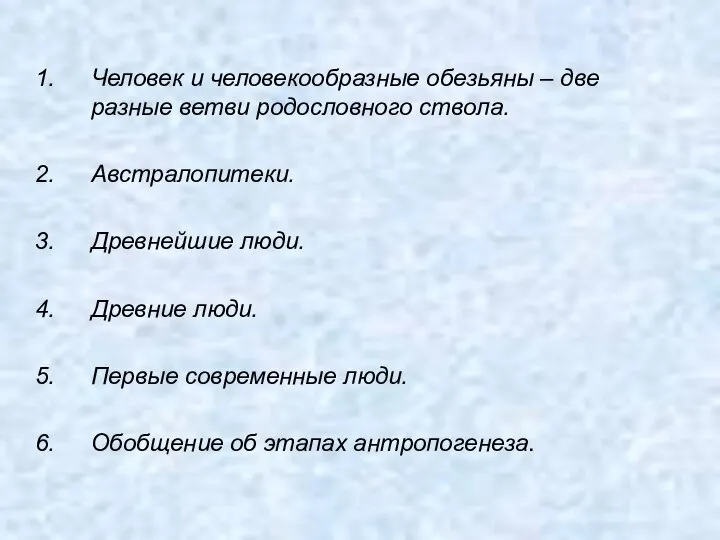 Человек и человекообразные обезьяны – две разные ветви родословного ствола. Австралопитеки. Древнейшие