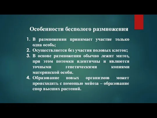 Особенности бесполого размножения В размножении принимает участие только одна особь; Осуществляется без