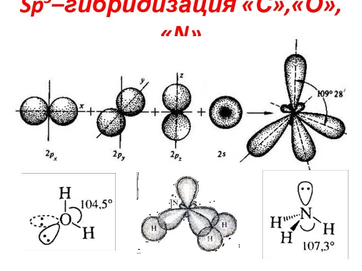 Sp3–гибридизация «С»,«О»,«N»