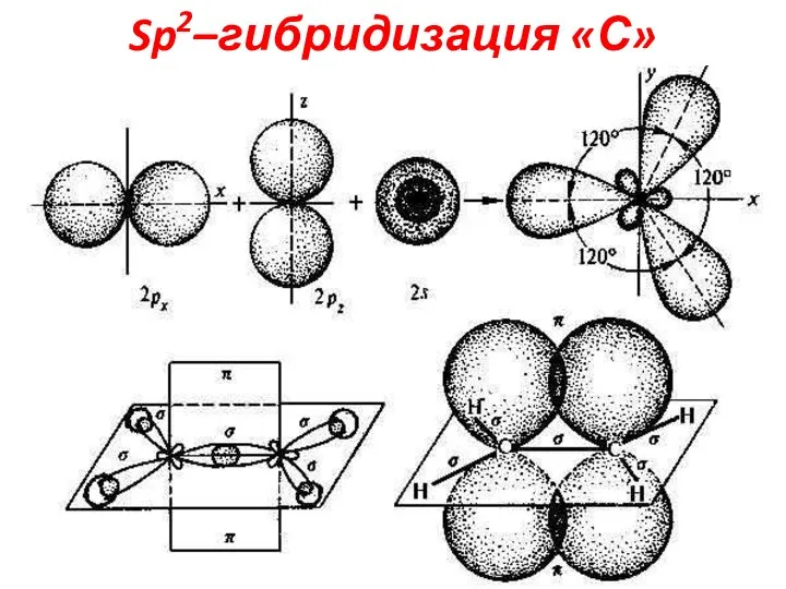 Sp2–гибридизация «С»