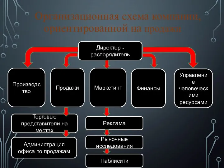 Организационная схема компании, ориентированной на продажи Директор - распорядитель Производство Продажи Маркетинг