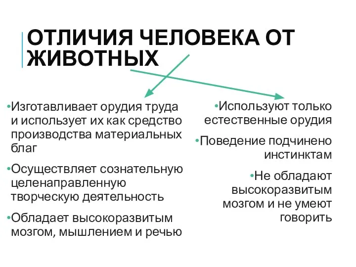 ОТЛИЧИЯ ЧЕЛОВЕКА ОТ ЖИВОТНЫХ Изготавливает орудия труда и использует их как средство