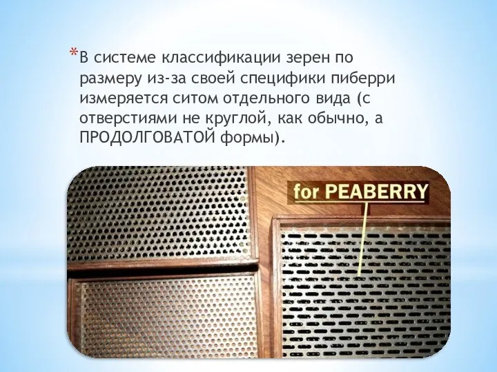 В системе классификации зерен по размеру из-за своей специфики пиберри измеряется ситом