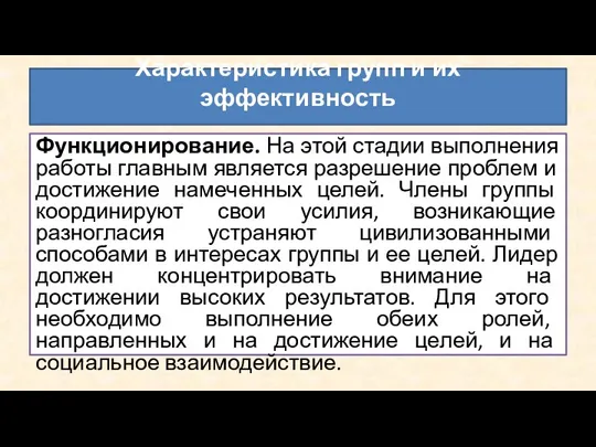 Функционирование. На этой стадии выполнения работы главным является разрешение проблем и достижение