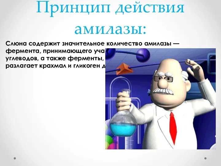 Принцип действия амилазы: Слюна содержит значительное количество амилазы — фермента, принимающего участие