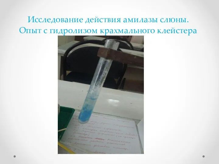 Исследование действия амилазы слюны. Опыт с гидролизом крахмального клейстера