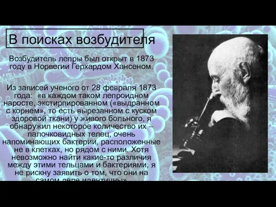 В поисках возбудителя Возбудитель лепры был открыт в 1873 году в Норвегии