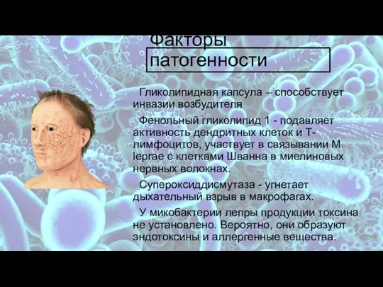 Факторы патогенности Гликолипидная капсула – способствует инвазии возбудителя Фенольный гликолипид 1 -