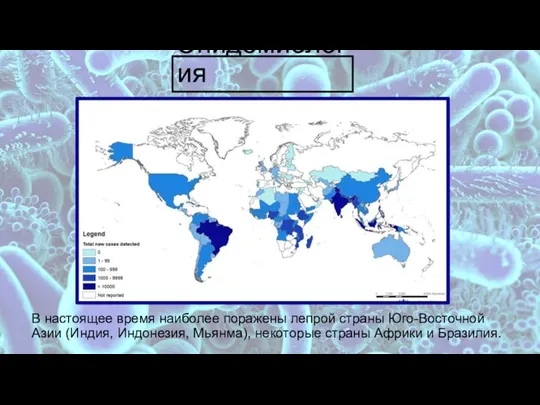 Эпидемиология В настоящее время наиболее поражены лепрой страны Юго-Восточной Азии (Индия, Индонезия,