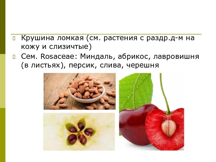 Крушина ломкая (см. растения с раздр.д-м на кожу и слизичтые) Сем. Rosaceae: