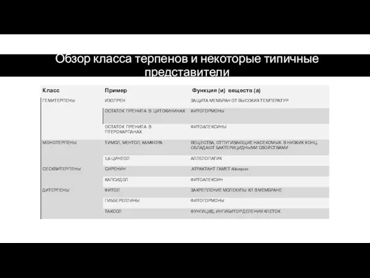 Обзор класса терпенов и некоторые типичные представители