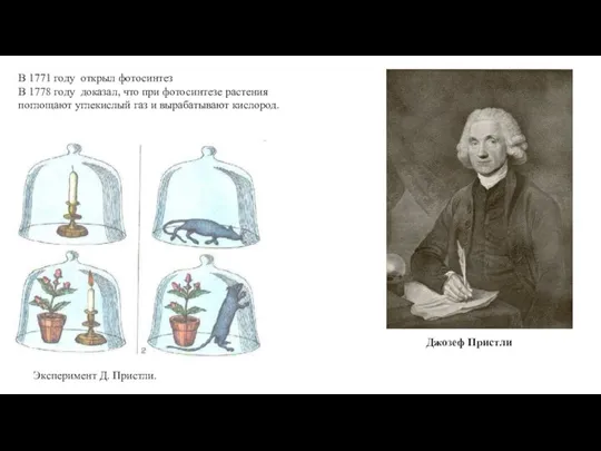 Джозеф Пристли В 1771 году открыл фотосинтез В 1778 году доказал, что