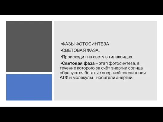 ФАЗЫ ФОТОСИНТЕЗА СВЕТОВАЯ ФАЗА. Происходит на свету в тилакоидах. Световая фаза –
