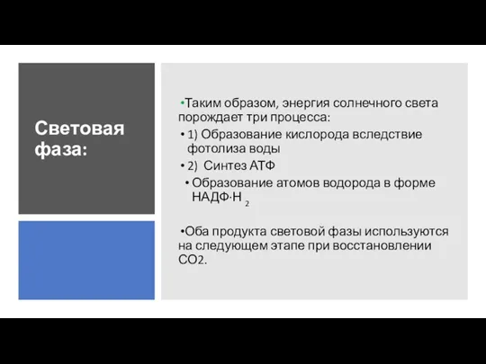 Световая фаза: Таким образом, энергия солнечного света порождает три процесса: 1) Образование