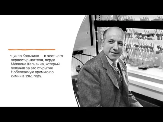 цикла Кальвина — в честь его первооткрывателя, лорда Мелвина Кальвина, который получил