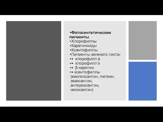 Фотосинтетические пигменты Хлорофиллы Каратиноиды Ксантофиллы Пигменты зеленого листа: • хлорофилл а •