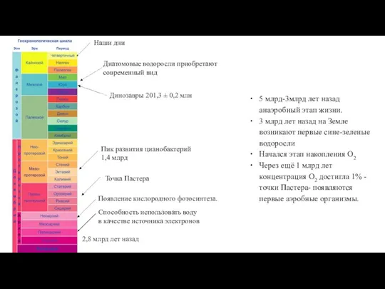 5 млрд-3млрд лет назад анаэробный этап жизни. 3 млрд лет назад на