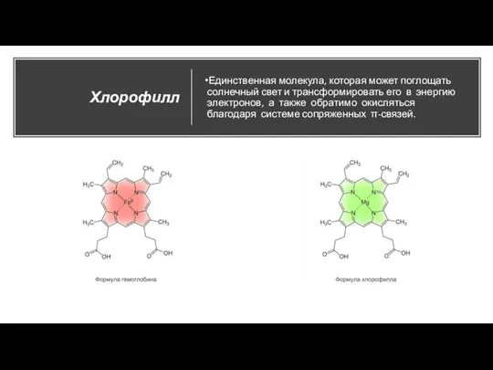 Хлорофилл Единственная молекула, которая может поглощать солнечный свет и трансформировать его в