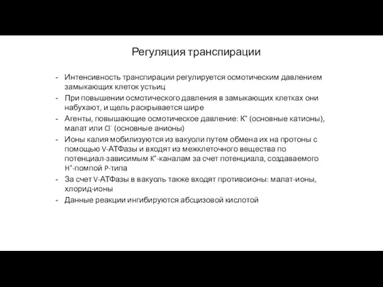 Регуляция транспирации Интенсивность транспирации регулируется осмотическим давлением замыкающих клеток устьиц При повышении