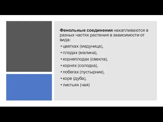 Фенольные соединения накапливаются в разных частях растения в зависимости от вида: цветках