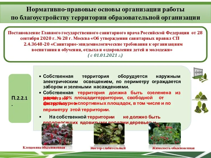 Постановление Главного государственного санитарного врача Российской Федерации от 28 сентября 2020 г.