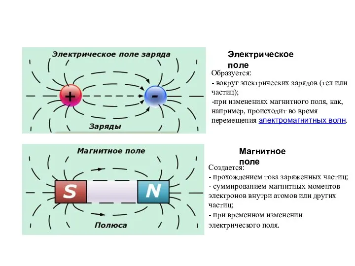 Электрическое поле Образуется: - вокруг электрических зарядов (тел или частиц); -при изменениях