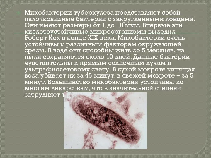 Микобактерии туберкулеза представляют собой палочковидные бактерии с закругленными концами. Они имеют размеры