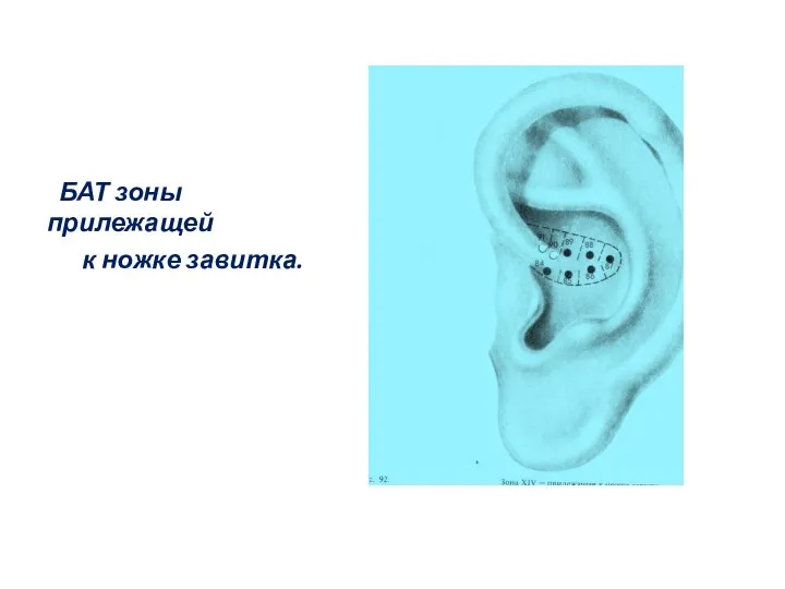 БАТ зоны прилежащей к ножке завитка.