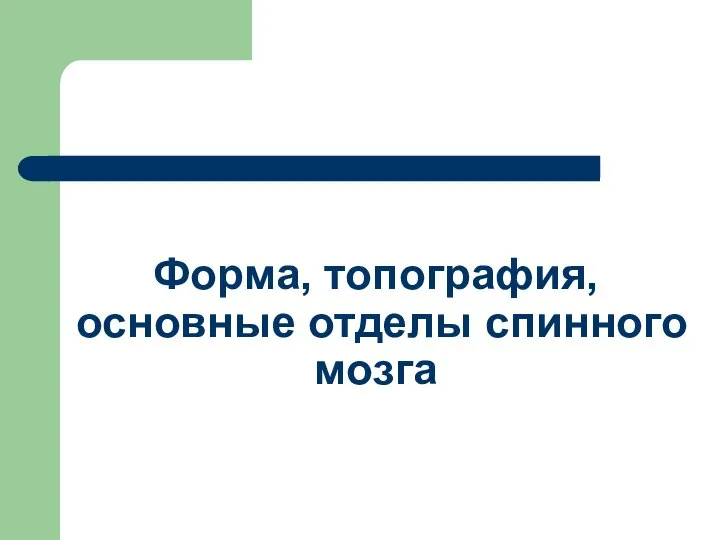 Форма, топография, основные отделы спинного мозга