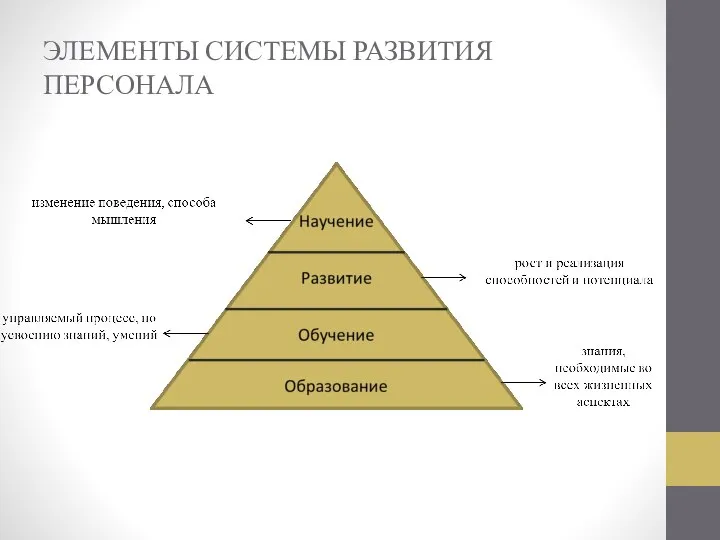 ЭЛЕМЕНТЫ СИСТЕМЫ РАЗВИТИЯ ПЕРСОНАЛА