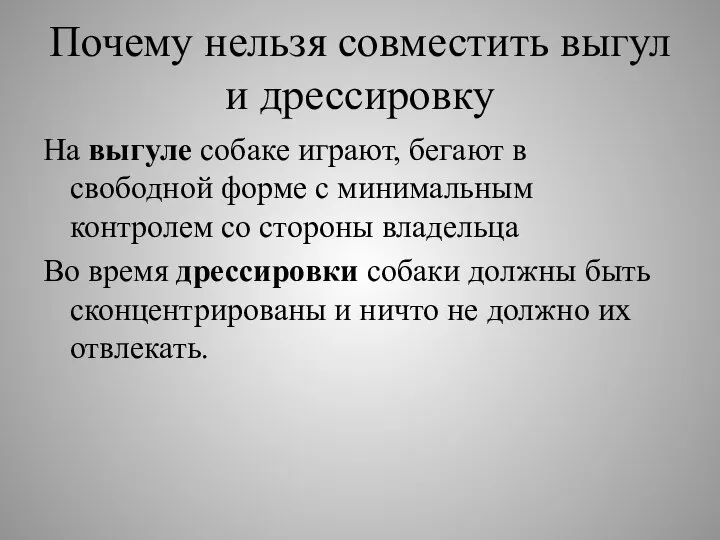 Почему нельзя совместить выгул и дрессировку На выгуле собаке играют, бегают в