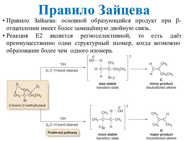 Правило Зайцева: основной образующийся продукт при β-отщеплении имеет более замещённую двойную связь.