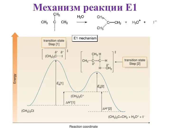 Механизм реакции E1