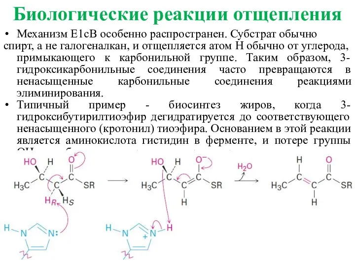 Механизм E1cB особенно распространен. Субстрат обычно спирт, а не галогеналкан, и отщепляется