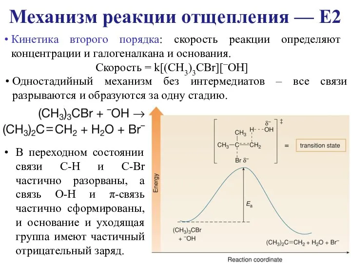 Кинетика второго порядка: скорость реакции определяют концентрации и галогеналкана и основания. Механизм