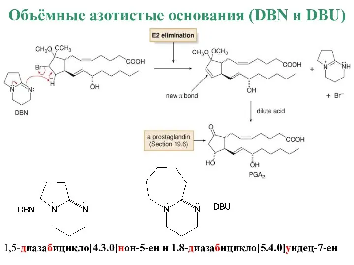 1,5-диазабицикло[4.3.0]нон-5-ен и 1.8-диазабицикло[5.4.0]ундец-7-ен Объёмные азотистые основания (DBN и DBU)