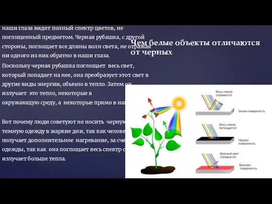 Белая рубашка отражает все волны света обратно и наши глаза видят полный