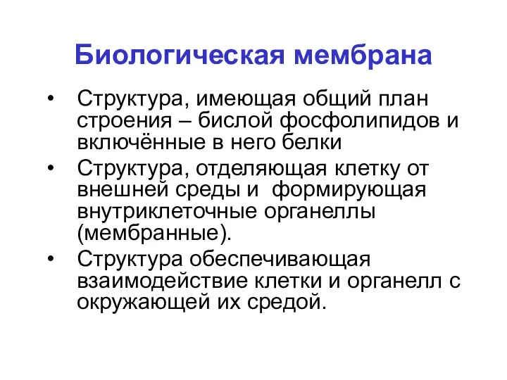 Биологическая мембрана Структура, имеющая общий план строения – бислой фосфолипидов и включённые