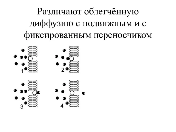 Различают облегчённую диффузию с подвижным и с фиксированным переносчиком