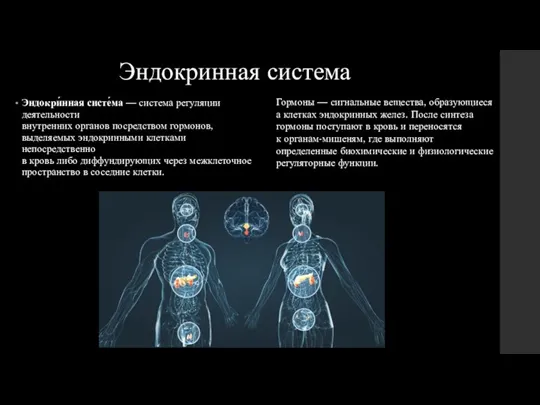 Эндокринная система Эндокри́нная систе́ма — система регуляции деятельности внутренних органов посредством гормонов,