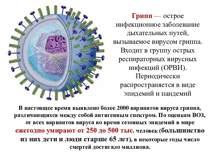 Грипп — острое инфекционное заболевание дыхательных путей, вызываемое вирусом гриппа. Входит в