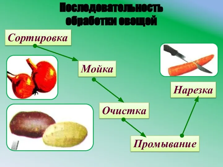 Последовательность обработки овощей Сортировка Мойка Очистка Промывание Нарезка