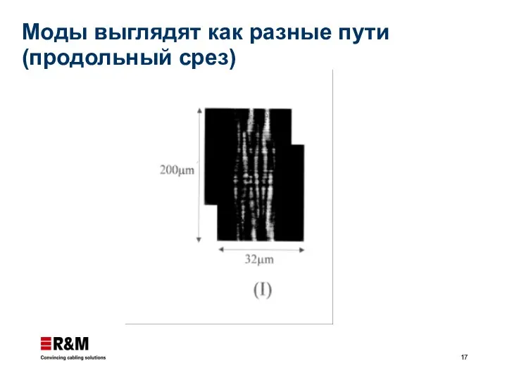 Моды выглядят как разные пути (продольный срез)