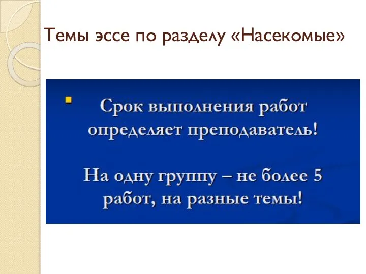 Темы эссе по разделу «Насекомые»