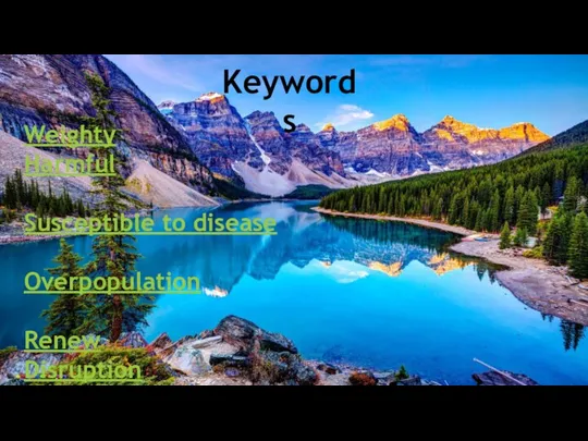 Keywords Weighty Harmful Susceptible to disease Overpopulation Renew Disruption